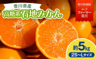 2026年冬よりお届け 高糖系石地みかん 約5kg 果物類 柑橘類 フルーツ ギフト ジュース 果肉 みかん果汁 甘い ５キロ   FAH-0173