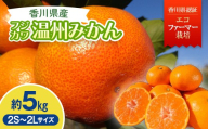 2026年秋よりお届け フジカワ温州みかん 約5kg 果物類 柑橘類 フルーツ FAH-0175