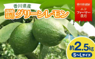 2026年秋よりお届け グリーンレモン（露地栽培）約2.5kg 果物類 柑橘類 檸檬 FAH-0177