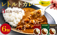 レトルトカレー 3種 6個 セット レトルト カレー 詰め合わせ チキンカレー ビーフカレー ベジカレー 惣菜 ローリングストック レトルトカレー 簡単調理 湯煎調理 時短 手軽 便利 食料品 ストック 備蓄 常備食 ボングスタ！ れとるとかれー カレー かれー curry 宮城県 岩沼市