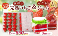 【先行予約／2027年1月発送】いちご 完熟いちご 紅ほっぺ 2パック 850g 以上 無添加 なごみ ジャム 6個 セット 朝採り 朝採れ 完熟いちご フルーツ 果物 新鮮 完熟 旬 イチゴ ジャム ストロベリー パン 朝食 土耕栽培 季節限定 静岡県産 なごみ果園 伊豆 下田 贈答 ギフト 産地直送