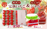 【先行予約／2027年3月発送】いちご 完熟いちご 紅ほっぺ 2パック 850g 以上 無添加 なごみ ジャム 6個 セット 朝採り 朝採れ 完熟いちご フルーツ 果物 新鮮 完熟 旬 イチゴ ジャム ストロベリー パン 朝食 土耕栽培 季節限定 静岡県産 なごみ果園 伊豆 下田 贈答 ギフト 産地直送