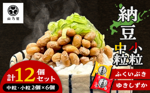山乃屋の山木屋 中粒 小粒 納豆 各種6個 納豆 大豆 健康 発酵食品 ギフト おすすめ 川俣町 福島県  FAF-0291 2760629 - 福島県川俣町