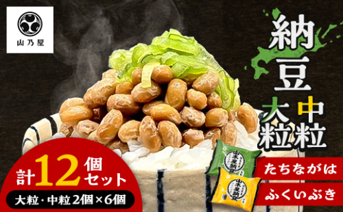 山乃屋の山木屋 大粒 中粒 納豆 各種6個 納豆 大豆 健康 発酵食品 ギフト おすすめ 川俣町 福島県  FAF-0292 2760630 - 福島県川俣町