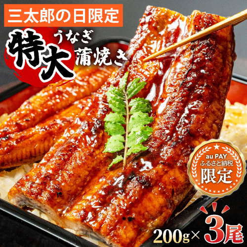 【三太郎の⽇限定】【国産うなぎ蒲焼】200g×3尾（合計600g） PE025 2760673 - 福岡県篠栗町