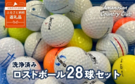 ゴルフボール 洗浄済み 中古 ロストボール ブランド混 28球 | タイトリスト ブリジストン スリクソン キャロウェイ ダンロップ ホンマ 大阪 河内長野
