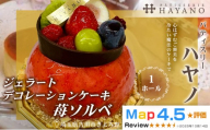 014-015 ジェラートフルーツデコレーションケーキ(冷凍) 苺ソルベ 1ホール YSKBV115