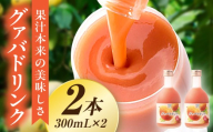 驚きの果実感！ハーフボトル グァバドリンク2本セット (300ml×2本) 桃のようなまろやかで優しい味わい グァバ ドリンク フルーツドリンク 果汁入り飲料 トロピカルジュース 詰め合わせ 贈答 贈り物 ギフト プレゼント お中元 お歳暮 お取り寄せグルメ_K021-022
