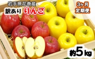 【3ヶ月定期便】イーハトーヴ 訳あり りんご ご家庭用 約5kg【960】