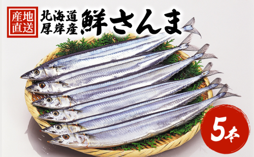 先行予約 産地直送 鮮度抜群 北海道 厚岸産 刺身用 鮮さんま 5本 サンマ 秋刀魚 さんま 鮮魚 魚介類 海産 生さんま 2761261 - 北海道厚岸町