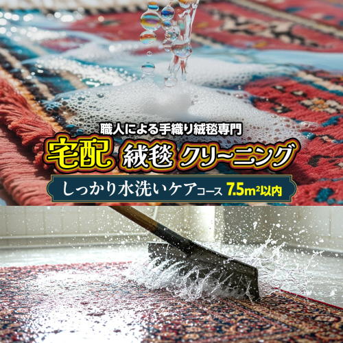 宅配 絨毯 クリーニング チケット │ しっかり水洗いケアコース（7.5平米以内）約250cm×300cm 宅配 クリーニング 洗濯 洗浄 清潔 じゅうたん ラグ カーペット 丸洗い マット ニオイ対策 大掃除 ダニ 対策 敷物 [BP300-NT] 2761295 - 茨城県つくばみらい市