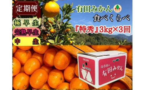 【えらべる回数（全3回・全15回）】定期便 有田みかん 食べくらべ 3種 特秀 各3kg コース 南泰園 みかん 2761358 - 和歌山県有田川町