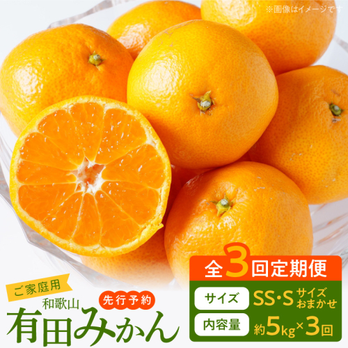 【3回定期便】【2026年先行予約】【ご家庭用】旨味凝縮有田みかん 約5kg（SS・Sサイズ）【湯浅町】_AT60-T01 2761364 - 和歌山県湯浅町