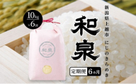 先行予約 新米 定期便6ヶ月配送 令和8年 新潟県 上越産 にじのきらめき 10kg （5kg×2袋）×6回 和泉 ワイズファーム 上越市 精米 米 ギフト 喜ばれる 虹のきらめき