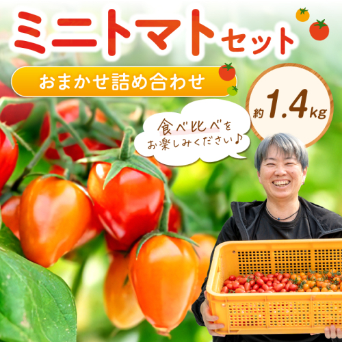 ミニトマトセット（おまかせ詰め合わせ）約1.4kg《先行予約》【1228-1】 2763465 - 和歌山県御坊市