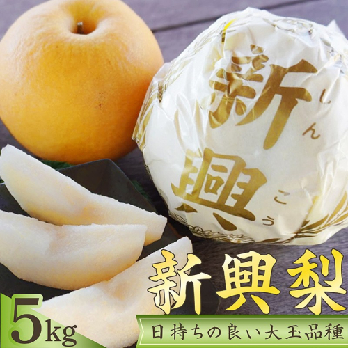 梨　新興梨　約5kg（9～14玉入り） 国産 期間限定 デザート 甘い ジューシー ふるさと 納税 梨 なし ナシ 5kg 先行予約 ふるさと 納税 フルーツ くだもの 2763650 - 京都府京丹後市