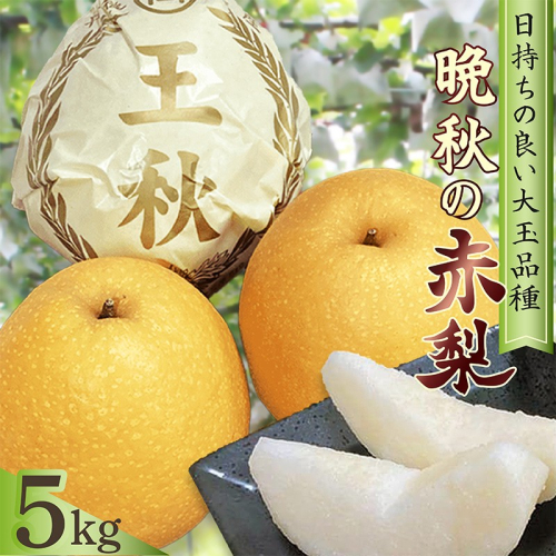 梨　王秋　約5kg（7～11玉入り） 2763653 - 京都府京丹後市
