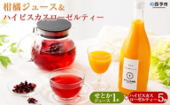 ＜せとかジュース 1本＆ハイビスカスローゼルティー 5袋＞『1か月以内に順次出荷予定』みかん ジュース ミカン オレンジ かんきつ お茶 ハーブティー ノンカフェイン ハーブ茶 リラックスティー ホットティー 紅茶 国産 ひさしげ農園 愛媛県 西予市【常温】