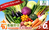 【3回定期便】 有機野菜セット| 大晶ファーム [BNAP008] 野菜セット 野菜 やさい やさいセット yasai ズッキーニ ナス ピーマン ししとう フルーツトマト イエローアイコ アイコ レッドキャベツ じゃがいも（小さめ、傷あり） にんじん 大根 赤大根 南瓜 キャベツ 小松菜 山東菜 胡瓜 スイスチャード 青果物 定期便