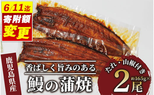 ＼6/11までご愛顧感謝 16,000円→15,000円／【鹿児島県産】鰻の蒲焼(無頭背開き)約165g×2尾(山中水産/015-1065) うなぎ 国産 鹿児島 蒲焼 丑の日 丑 土用丑の日
