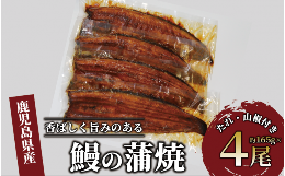 鹿児島県産の鰻を、一部炭火を導入したラインで皮目をしっかりと焼き込み、ふっくらと香ばしく旨みのある蒲焼に仕上げました。■賞味期限発送日から30日■注意事項/その他※マイナス18℃以下で保存してください