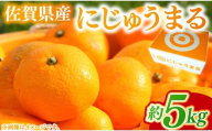 佐賀県産にじゅうまる 5kg 226-B1020