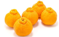 佐賀県産不知火 5kg 226-B1022