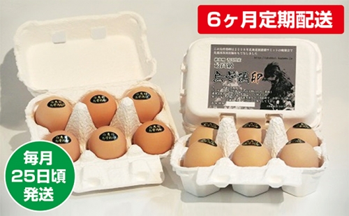 【6ヶ月定期配送】烏骨鶏卵 毎月25日頃発送 27664 - 香川県東かがわ市