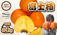 富士柿＜家庭用＞約4kg＜D76-9＞【1532468】 YWTAB006