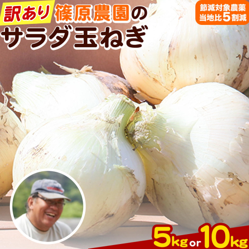 玉ねぎ 訳あり 節減対象農薬 当地比5割減 サラダ玉ねぎ (S-2Lサイズ) 5kg 10kg《3月下旬-4月下旬頃出荷予定》熊本県 葦北郡 津奈木町 篠原農園 野菜 たまねぎ 自然栽培 2766654 - 熊本県津奈木町