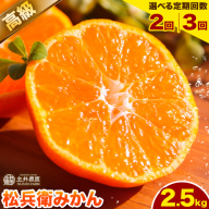 選べる 主井農園の高級松兵衛みかん 約2.5kg 定期便 2.5kg×2回 または 2.5kg×3回[11月中旬-1月上旬頃出荷]主井農園 和歌山 和歌山みかん みかん ミカン 蜜柑 柑橘 果物 フルーツ