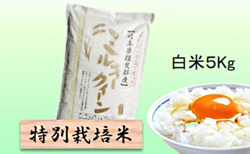 特別栽培米 【 令和8年産 】 白米 5kg 【 ミルキークイーン 】 2766703 - 岐阜県池田町