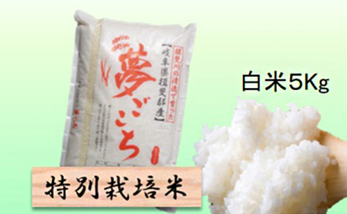 特別栽培米 【 令和8年産 】 白米 5kg 【 夢ごこち 】 2766705 - 岐阜県池田町