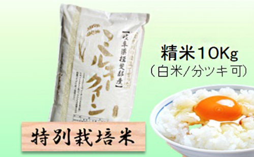 特別栽培米 【 令和8年産 】 精米 10kg（白米/5分/7分ツキ可）【 ミルキークイーン 】玄米は別に出品 2766711 - 岐阜県池田町