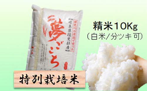 特別栽培米 【 令和8年産 】 精米 10kg（白米/5分/7分ツキ可）【 夢ごこち 】玄米は別に出品 2766713 - 岐阜県池田町