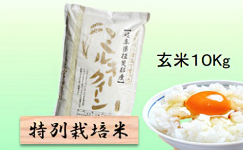 特別栽培米 【 令和8年産 】 玄米 10kg 【 ミルキークイーン 】 2766715 - 岐阜県池田町