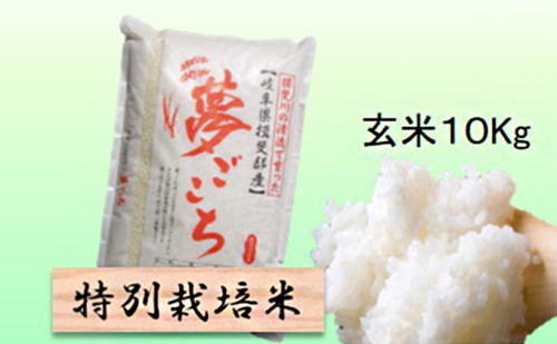 特別栽培米 【 令和8年産 】 玄米 10kg 【 夢ごこち 】 2766717 - 岐阜県池田町