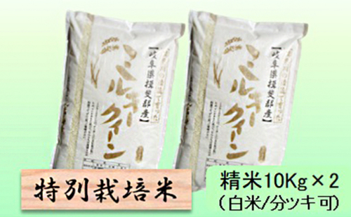 特別栽培米 【 令和8年産 】 精米 20kg（白米/5分/7分ツキ可）【 ミルキークイーン 】玄米は別に出品 2766719 - 岐阜県池田町