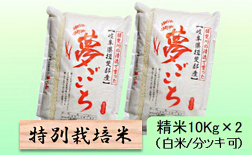特別栽培米 【 令和8年産 】 精米 20kg（白米/5分/7分ツキ可）【 夢ごこち 】玄米は別に出品 2766721 - 岐阜県池田町