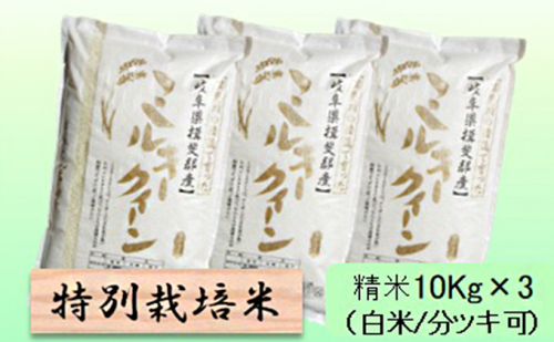 特別栽培米 【 令和8年産 】 精米 30kg（白米/5分/7分ツキ可）【 ミルキークイーン 】玄米は別に出品 2766727 - 岐阜県池田町