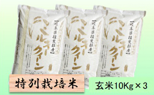 特別栽培米 【 令和8年産 】 玄米 30kg【 ミルキークイーン 】 2766731 - 岐阜県池田町