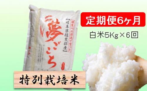 定期便 6カ月【 令和8年産 】毎月  白米 5kg【 夢ごこち 】 2766757 - 岐阜県池田町