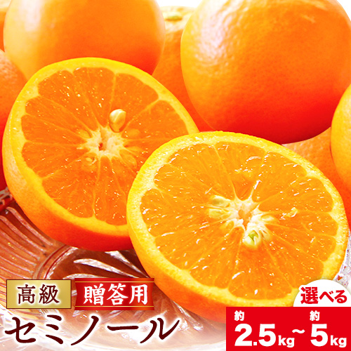 【先行予約】柑橘 高級 セミノール 贈答用 選べる 内容量 約 2.5kg 約 5kg 主井農園《4月下旬-5月下旬頃出荷》 和歌山県 日高町 セミノール 柑橘 高級 贈答用 贈り物 みかん オレンジ プレゼント ギフト 記念日 送料無料 2766765 - 和歌山県日高町