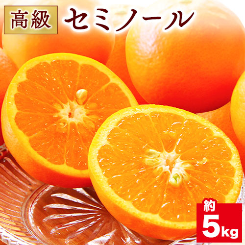 先行予約 柑橘 高級セミノール 約 5kg 主井農園《4月下旬-5月下旬頃出荷》 和歌山県 日高町 セミノール オレンジ みかん 柑橘 高級 希少 送料無料 2766768 - 和歌山県日高町