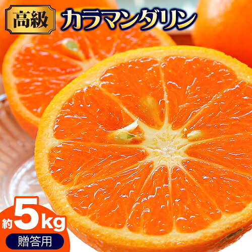 高級カラマンダリン贈答用 約5kg 主井農園《4月上旬-5月中旬頃出荷》 和歌山県 日高町 カラマンダリン みかん 高級 贈答用 贈り物 おくりもの プレゼント ギフト 記念日 送料無料 2766773 - 和歌山県日高町