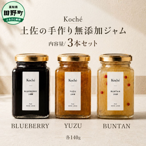 土佐の手作り無添加ジャム 3種セット ブルーベリー ゆず 文旦 各140g 果物 フルーツ 無添加 朝食 食パン トースト ヨーグルト スイーツ トッピング 柚子 ユズ ぶんたん プレゼント 常温配送 高知 田野町 2766798 - 高知県田野町