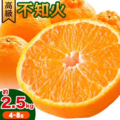 【先行予約】高級 不知火 ( デコポン と同品種) 約2.5kg 箱手詰め満杯 4～8玉 主井農園《2月中旬-3月上旬頃出荷》 和歌山県 日高町 みかん しらぬい 高級不知火 デコポン デコ でこぽん 柑橘 高級 送料無料 2766799 - 和歌山県日高町