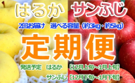 冬のりんご はるか×サンふじ定期便(各3kg)[2026年産・先行予約]★12月上旬〜1月下旬頃まで発送予定★旬のりんご 青森県産 三戸町産りんご リンゴ 2026年産 旬 くだもの 果物 フルーツ 青森県三戸町 AK-26-091