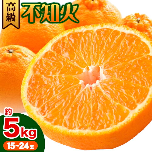 【先行予約】高級 不知火 ( デコポン と同品種) 約5kg 15～24玉 主井農園《2月中旬-3月上旬頃出荷》 和歌山県 日高町 みかん 柑橘 しらぬい 高級不知火 デコポン デコ でこぽん 贈答 贈り物 おくりもの プレゼント ギフト 記念日 送料無料 2766918 - 和歌山県日高町