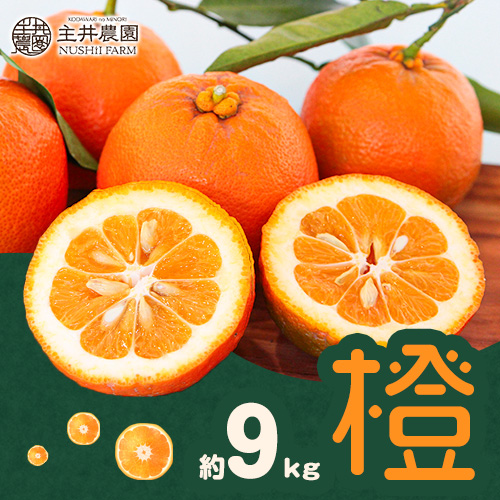 【先行予約】みかん だいだい 主井農園の 橙 9kg 主井農園《12月中旬-2月上旬頃出荷》 和歌山県 日高町 みかん 柑橘 贈り物 おくりもの プレゼント ギフト 記念日 送料無料 お正月 2766920 - 和歌山県日高町